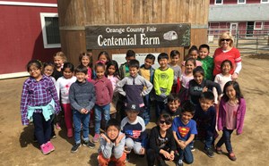 Parkview first graders visit Centennial Farm - article thumnail image